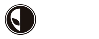 Evolution Skateshop – Blog